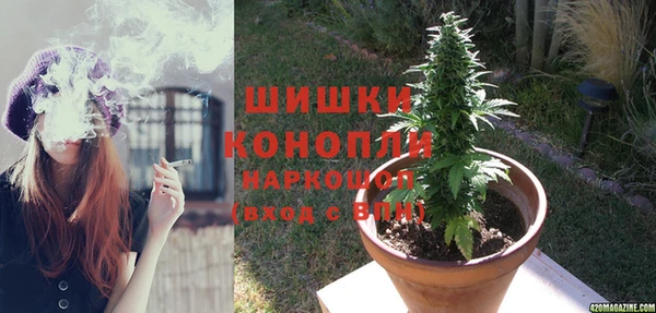 тгк Белокуриха