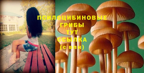 спайс Беломорск